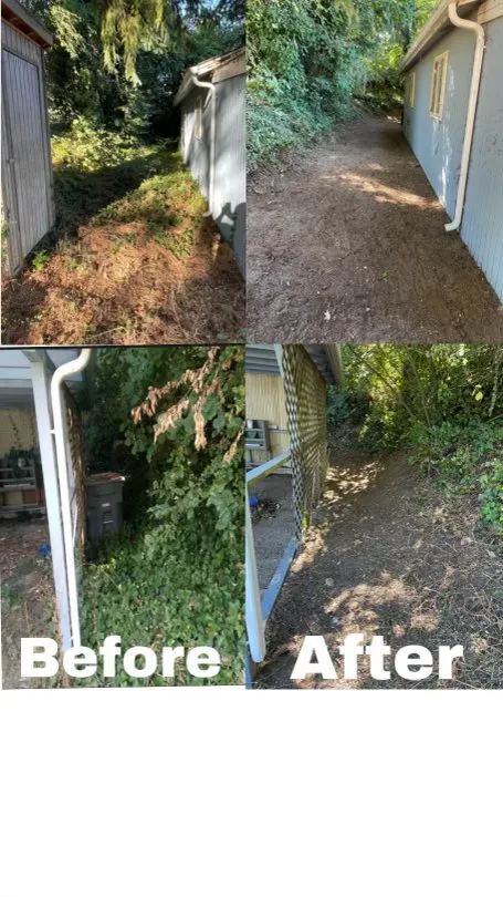 Professional landscape installation in Tacoma, WA - CLC Lawn Care Service