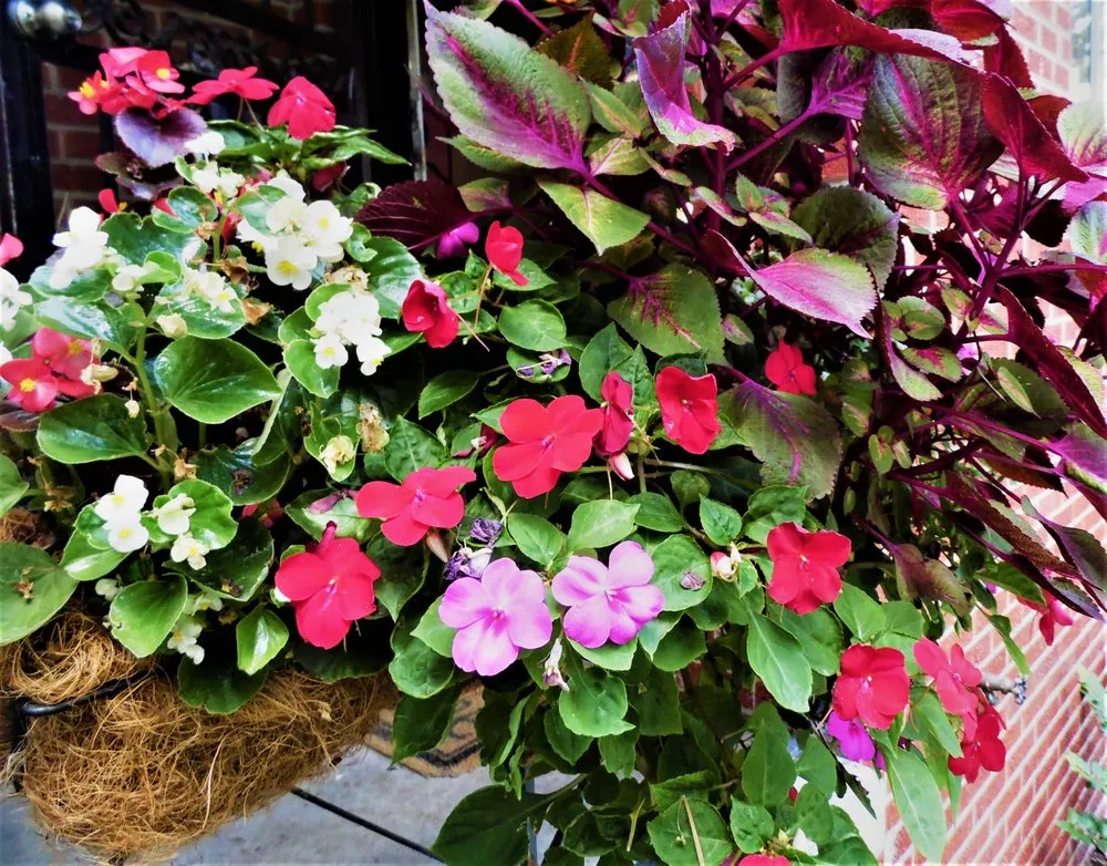 Custom yard maintenance in New Castle, CO - CLC Maintenance Group