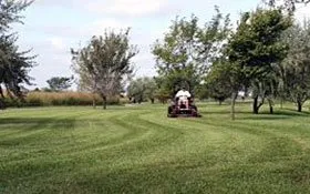Custom yard maintenance experts serving New Castle, CO - CLC Maintenance Group