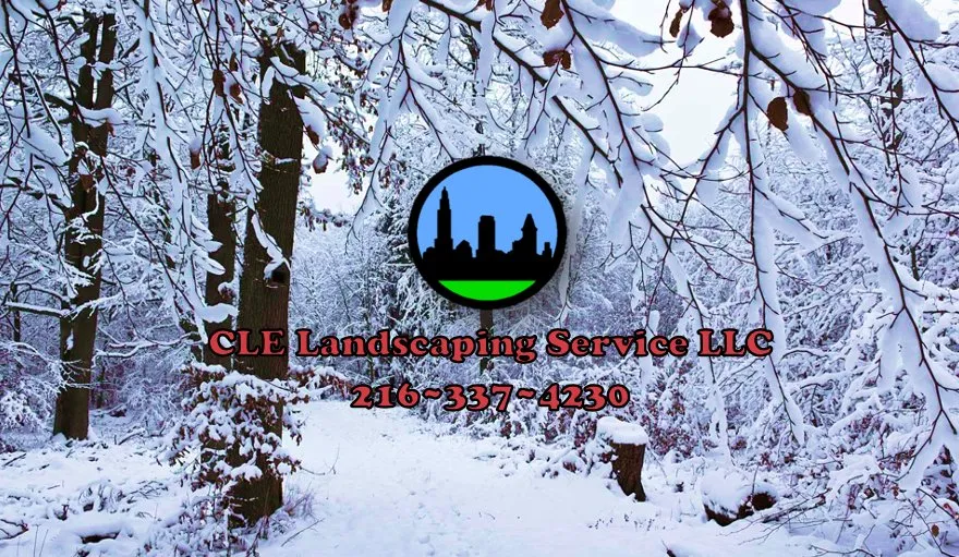 Reliable yard maintenance experts serving Olmsted Falls, OH - CLE Landscaping Service
