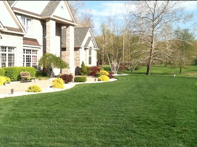 Local yard cleanup service in Lynnwood, WA - Clealand Home Cleaning & Landscaping Services