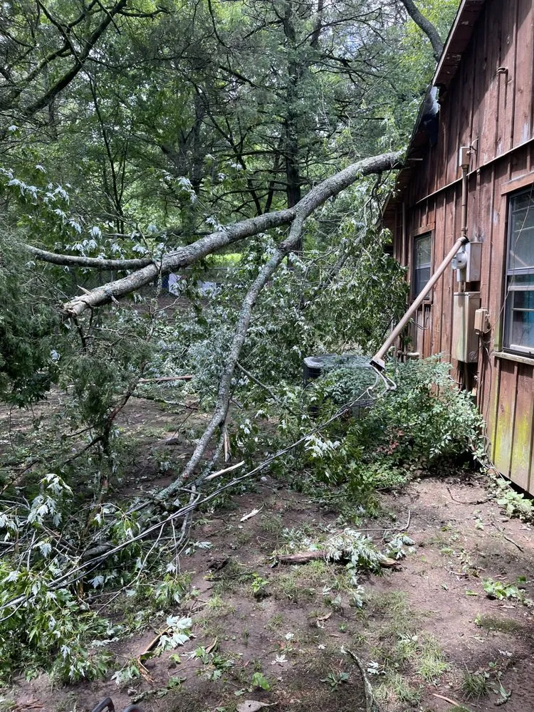 Reliable landscaping services in Dover, AR by Clean & Cut Residential Services