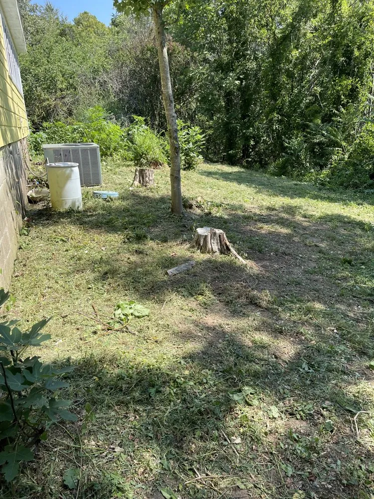 Trusted landscaping services experts serving Dover, AR - Clean & Cut Residential Services