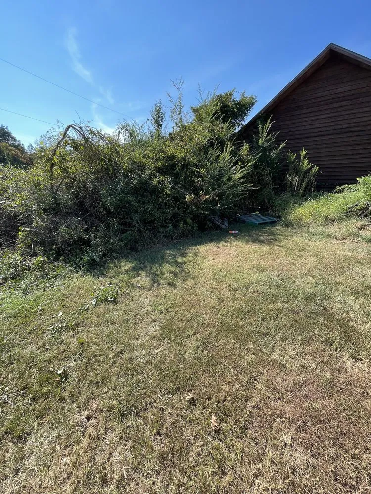 Reliable lawn care service in Dover, AR by Clean & Cut Residential Services