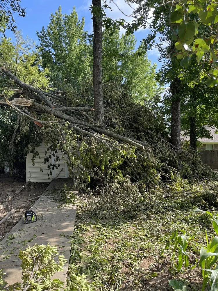 Custom landscape design in Dover, AR - Clean & Cut Residential Services