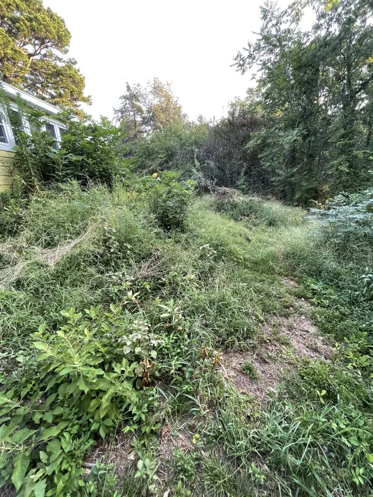 Top-rated landscape design for beautiful yards in Dover, AR by Clean & Cut Residential Services