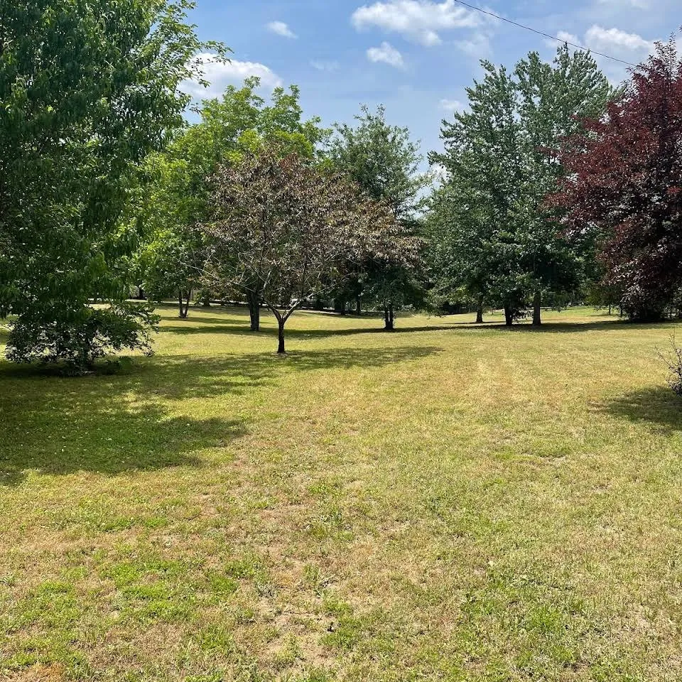 Custom yard cleanup service for outdoor upgrades in Dover, AR by Clean & Cut Residential Services