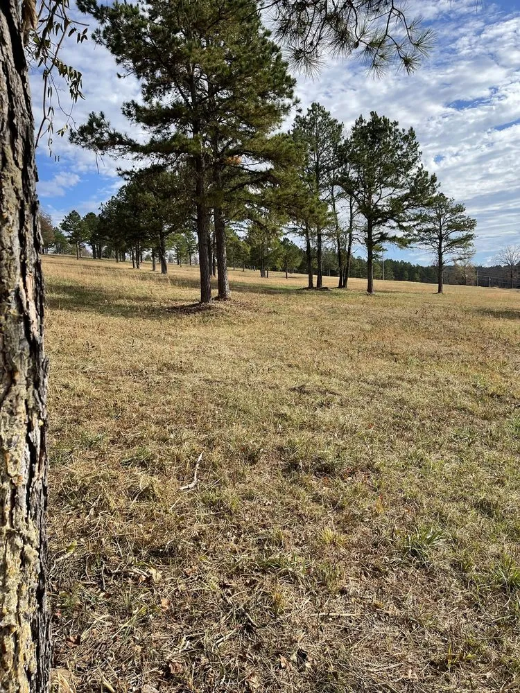 Expert yard cleanup service for outdoor upgrades in Dover, AR by Clean & Cut Residential Services