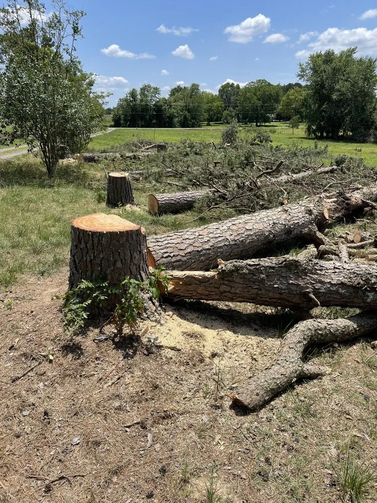 Expert landscape installation experts serving Dover, AR - Clean & Cut Residential Services