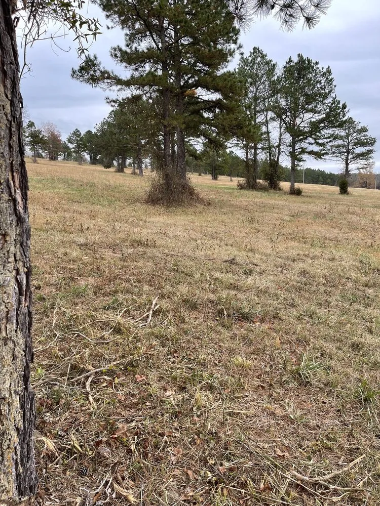 Custom lawn care service for beautiful yards in Dover, AR by Clean & Cut Residential Services