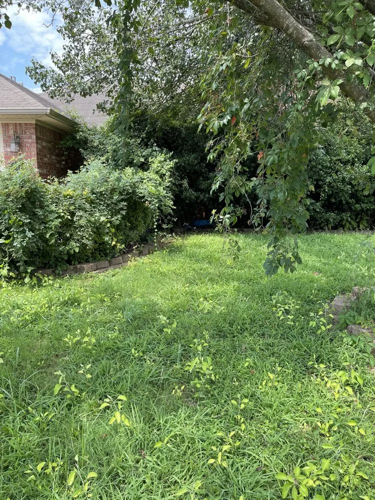 Top-rated landscape installation experts serving Dover, AR - Clean & Cut Residential Services