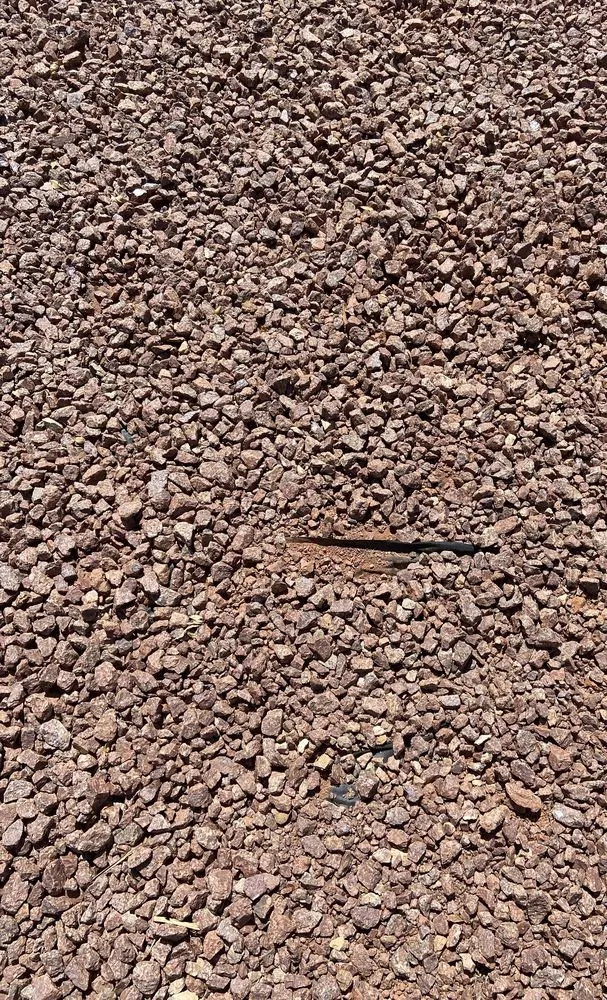 Expert yard cleanup service in Las Vegas, NV by Clean & Green Landscape