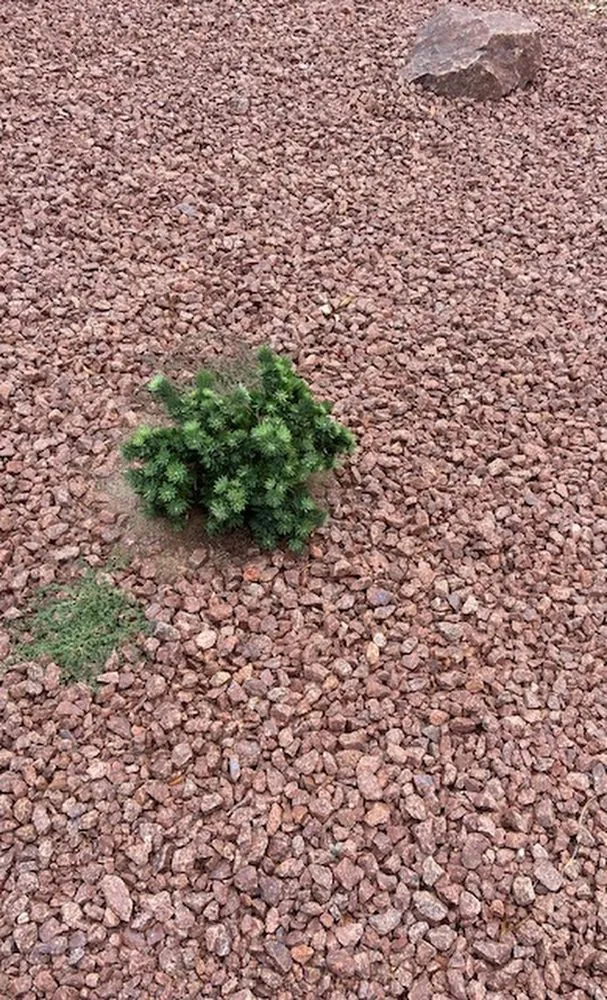 Trusted outdoor landscaping in Las Vegas, NV - Clean & Green Landscape