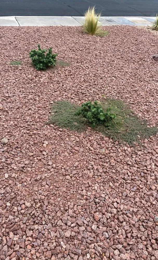 Affordable landscaping services near you across Las Vegas, NV - Clean & Green Landscape