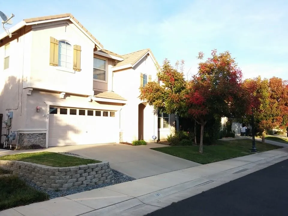 Professional yard cleanup service experts serving Sacramento, CA - Clean & Green Lawn Service