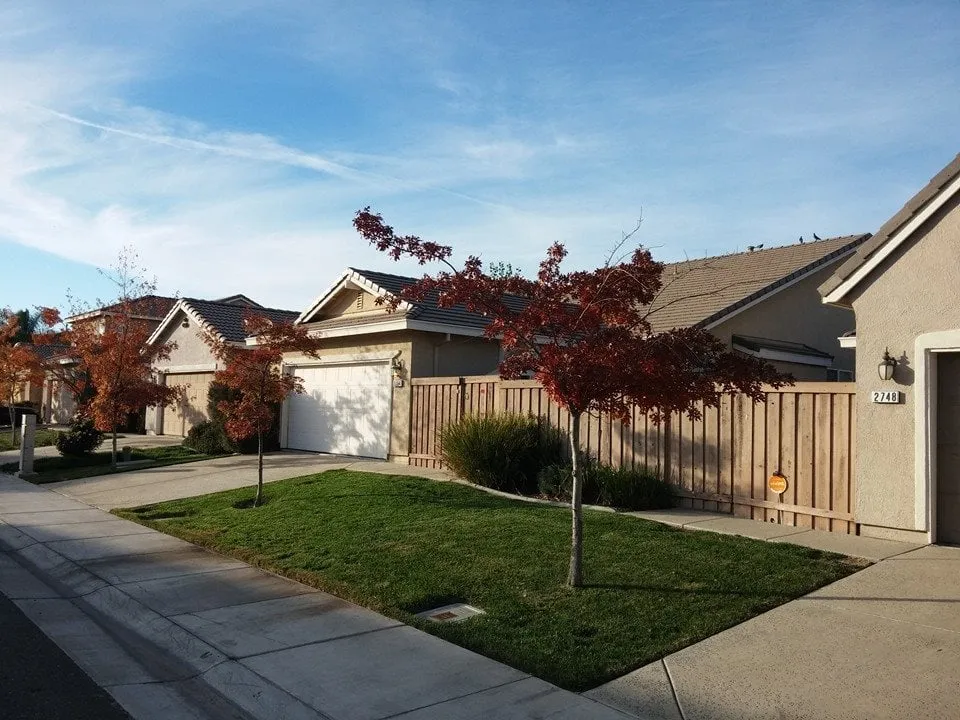 Custom lawn care service in Sacramento, CA - Clean & Green Lawn Service