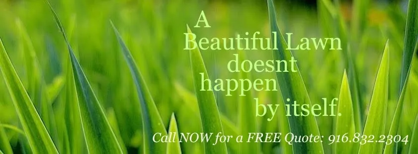 Local lawn mowing service near you in Sacramento, CA by Clean & Green Lawn Service