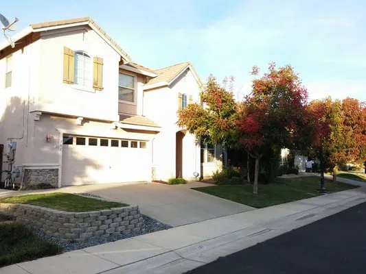 Clean & Green Lawn Service Logo