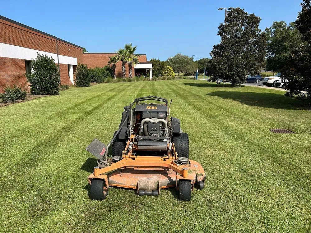 Top-rated yard cleanup service for year-round maintenance across Screven, GA - Clean & Green Lawn Service
