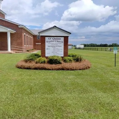 Clean & Green Lawn Service