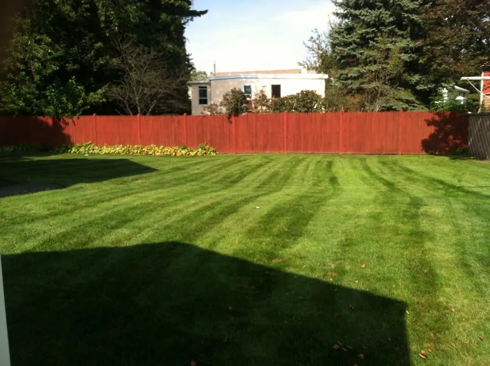 Reliable yard cleanup service in Saugus, MA - Clean & Green Lawn Services