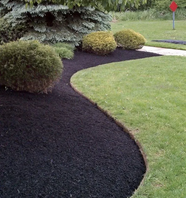 Top-rated lawn care service for beautiful yards across Saugus, MA - Clean & Green Lawn Services