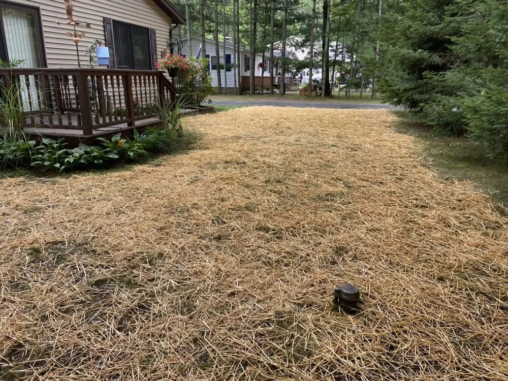 Custom yard cleanup service experts serving Denton Township, MI - Clean & Green Lawncare