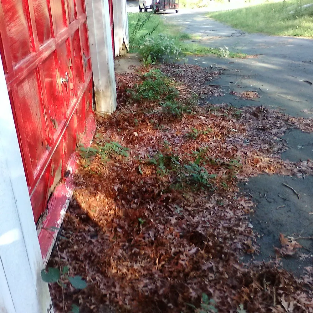 Affordable garden landscaping in West Dennis, MA - Clean & Green Property Management