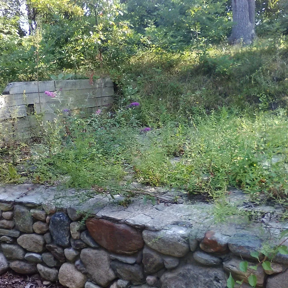 Local lawn mowing service in West Dennis, MA by Clean & Green Property Management