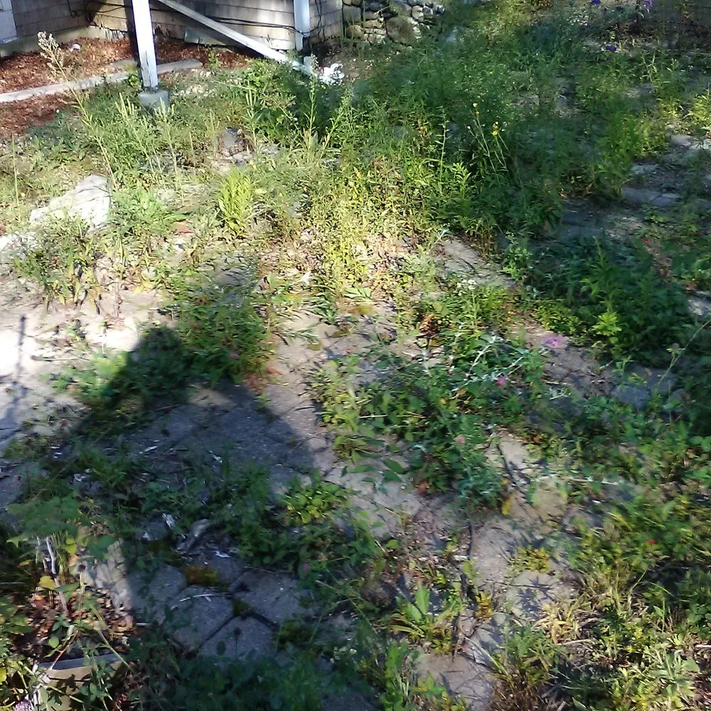 Affordable garden landscaping for homes across West Dennis, MA - Clean & Green Property Management