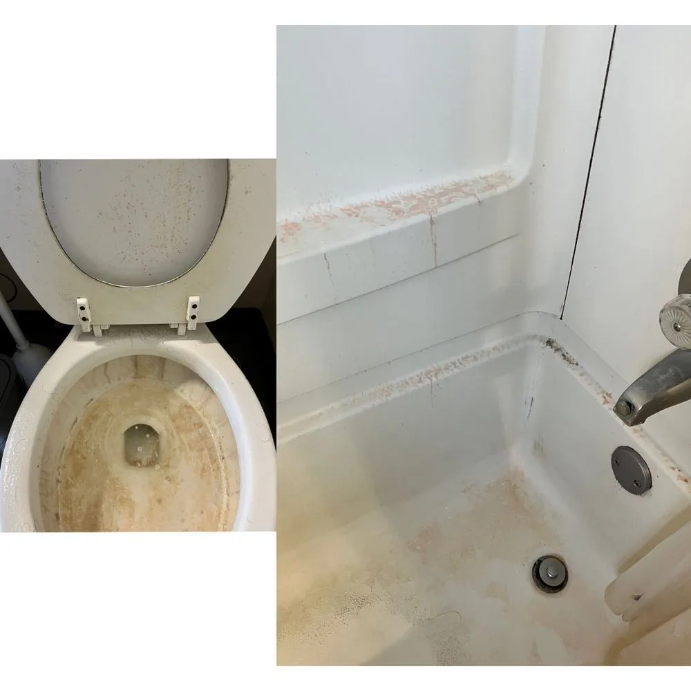 Custom lawn care service in Newberg, OR by Clean & Green Solutions