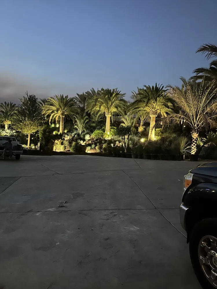 Local lawn care service in Fallbrook, CA - Clean & Green tree service & landscaping