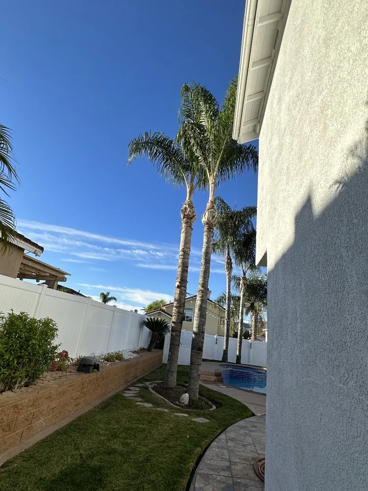 Trusted yard cleanup service in Fallbrook, CA by Clean & Green tree service & landscaping