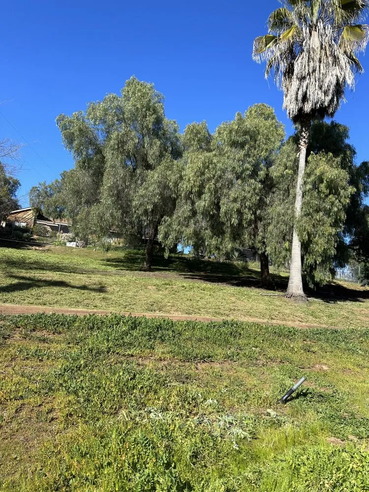 Top-rated lawn mowing service for beautiful yards in Fallbrook, CA by Clean & Green tree service & landscaping