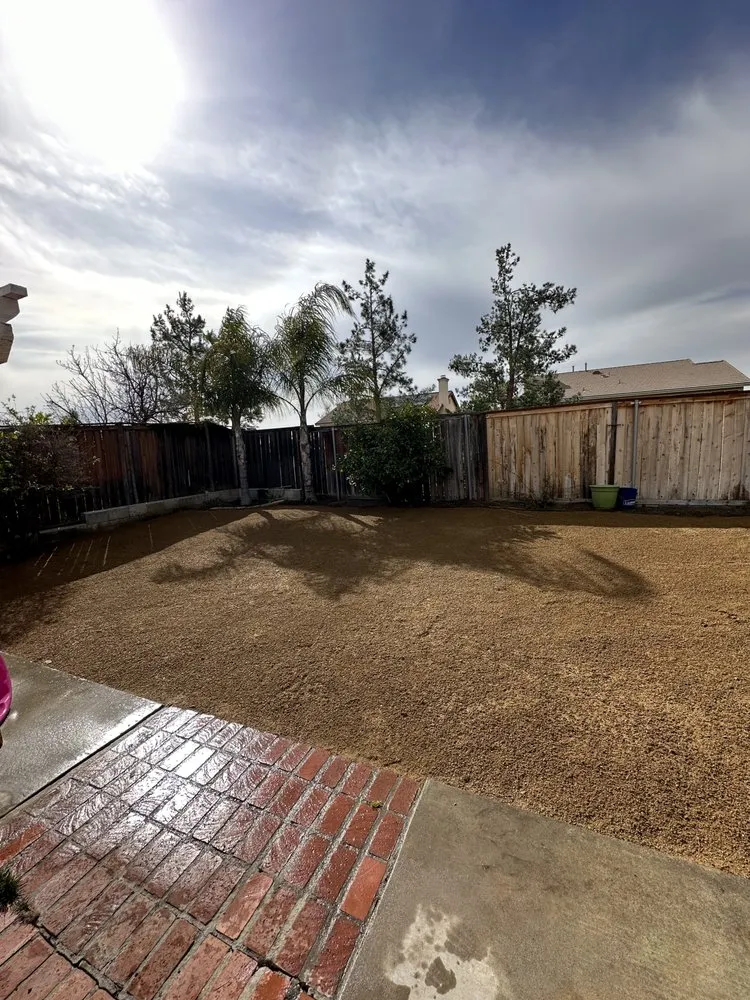 Top-rated yard cleanup service in Fallbrook, CA by Clean & Green tree service & landscaping