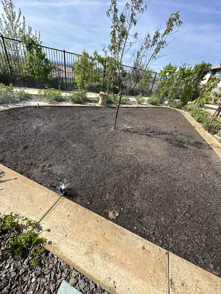 Professional lawn care service near you across Fallbrook, CA - Clean & Green tree service & landscaping