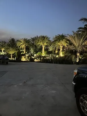 Clean & Green tree service & landscaping