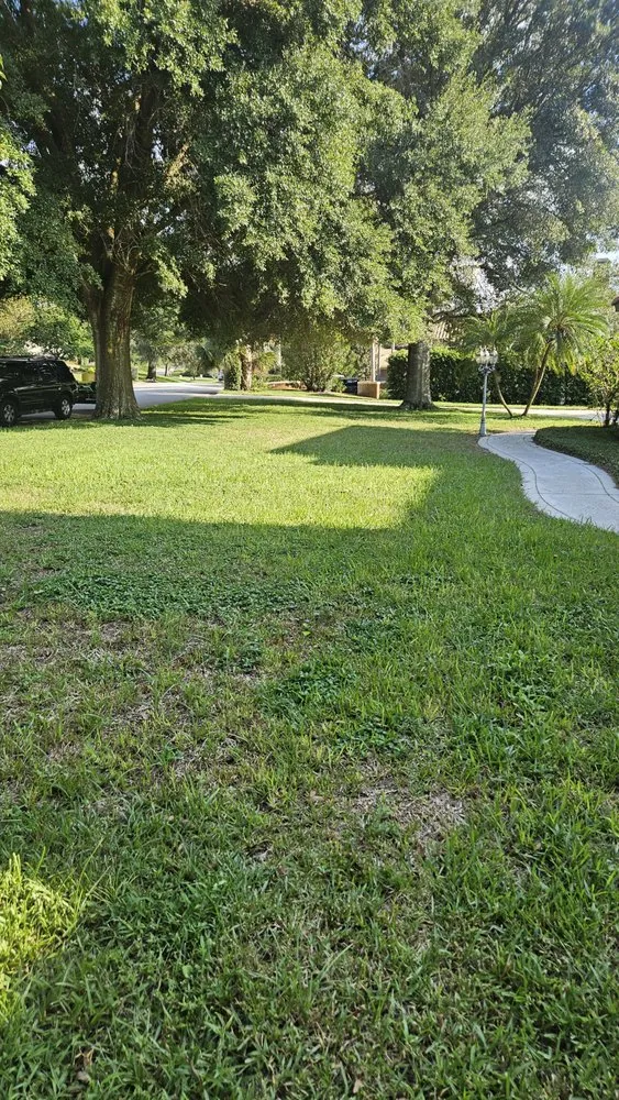 Reliable lawn mowing service in Orlando, FL - Clean & Trim
