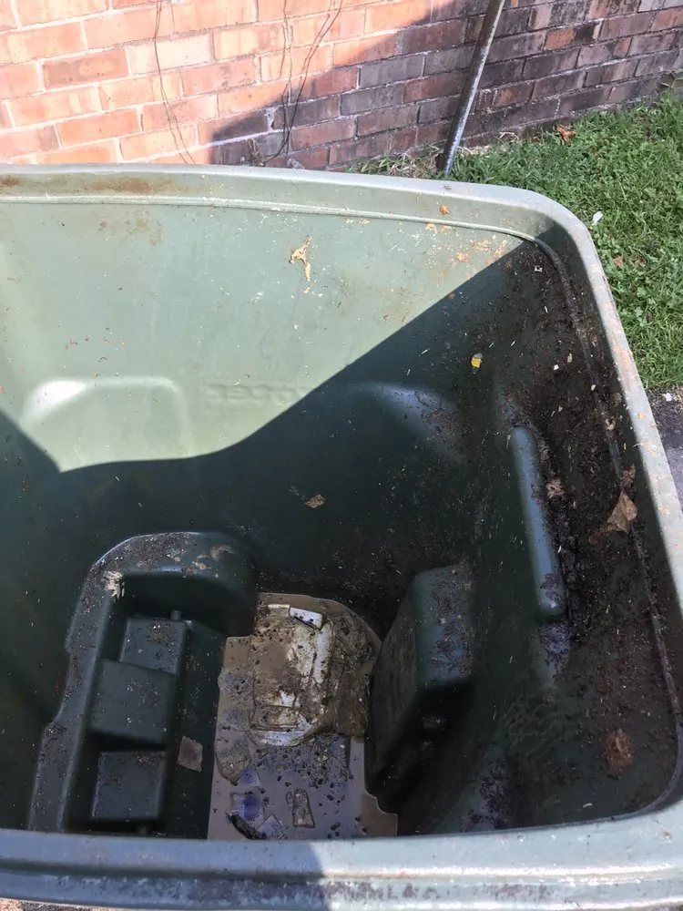 Expert landscape design in Savannah, GA - Clean-A-Bin