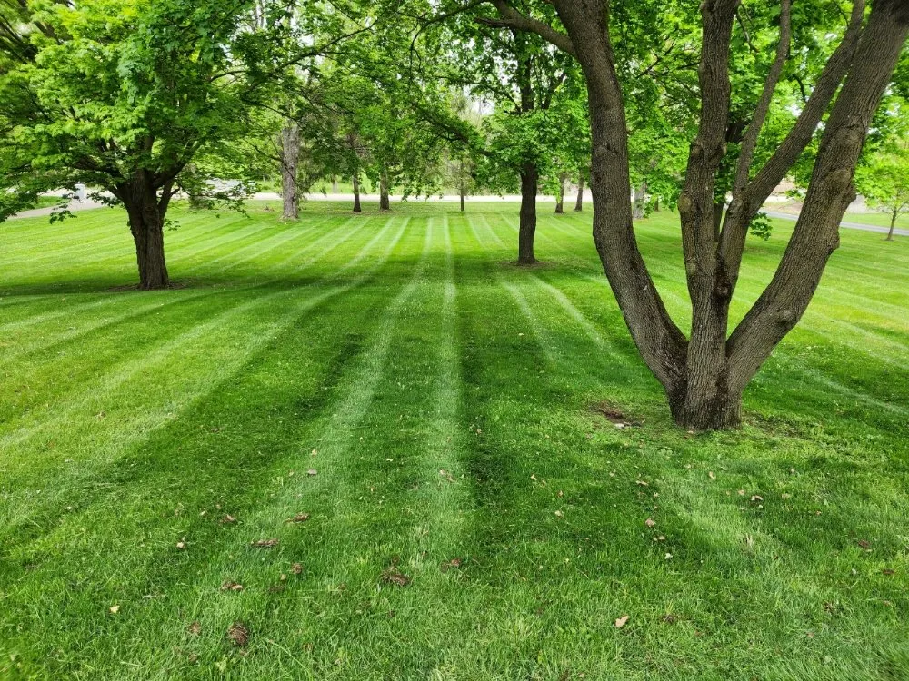 Top-rated landscape installation experts serving Novi, MI - Clean Acres Lawncare
