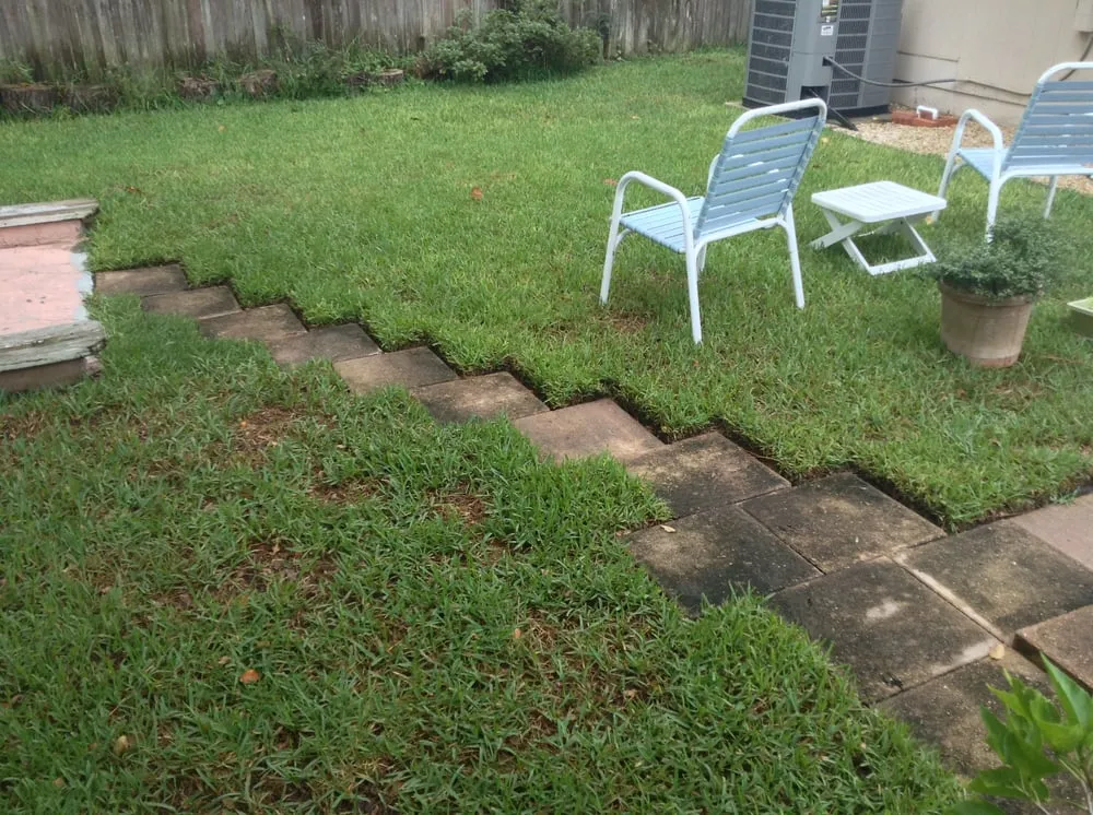 Expert yard cleanup service in Jacksonville, FL by Clean Again Powerwash