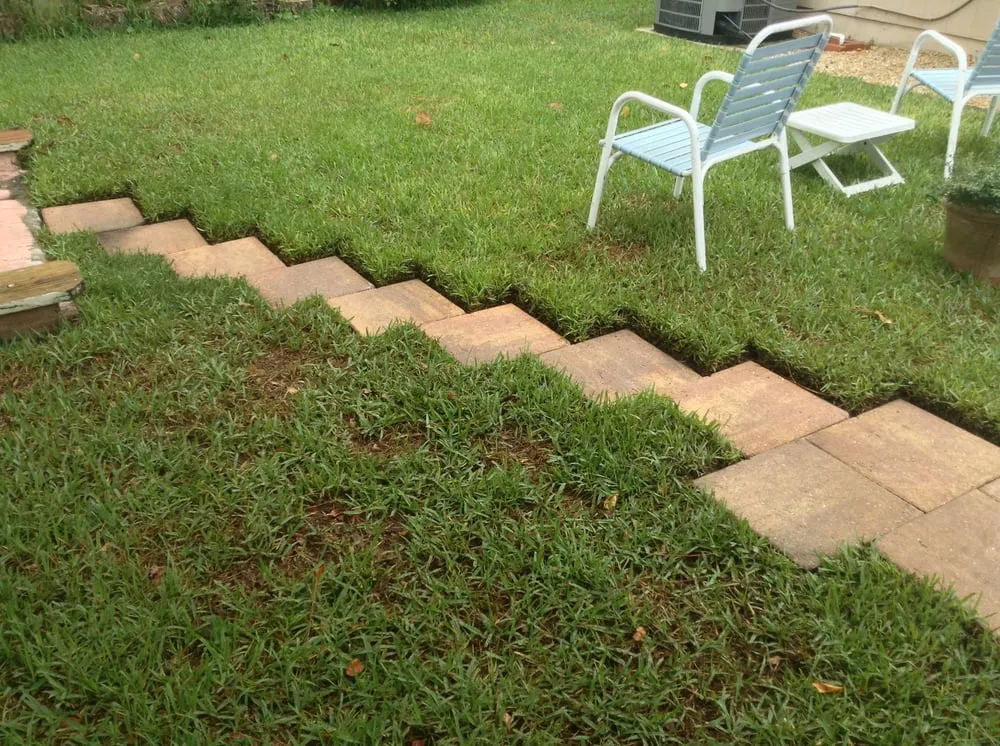Trusted lawn care service near you in Jacksonville, FL by Clean Again Powerwash