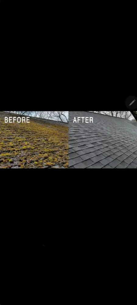 Local yard maintenance experts serving Bethesda, MD - Clean Ahead Custodial Services