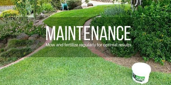 Reliable lawn care service experts serving Bethesda, MD - Clean Ahead Custodial Services