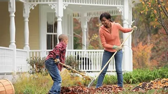 Local landscaping services in Bethesda, MD - Clean Ahead Custodial Services