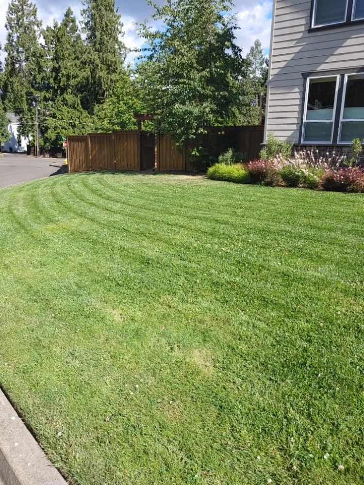 Local landscape installation for outdoor upgrades across Oregon City, OR - Clean Air Lawn Care - Oregon City