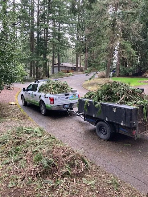 Expert yard maintenance experts serving Oregon City, OR - Clean Air Lawn Care - Oregon City