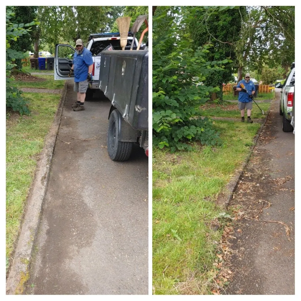 Expert lawn care service for year-round maintenance in Oregon City, OR by Clean Air Lawn Care - Oregon City