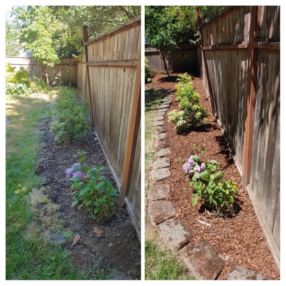 Top-rated yard cleanup service in Oregon City, OR - Clean Air Lawn Care - Oregon City
