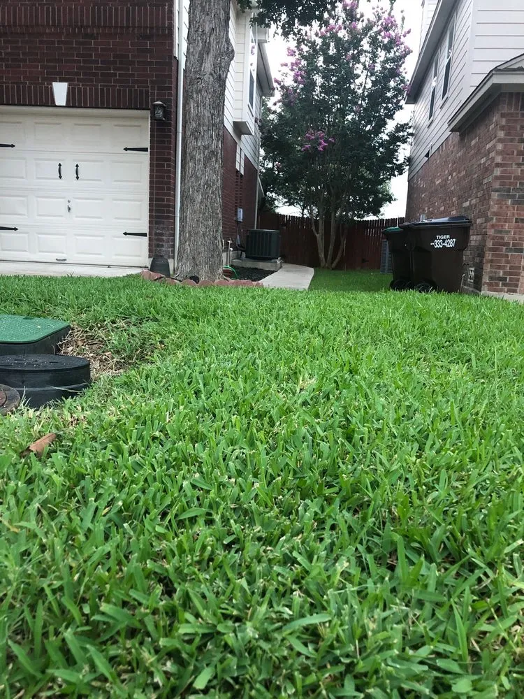 Trusted yard cleanup service in San Antonio, TX by Clean Air Lawn Care - San Antonio
